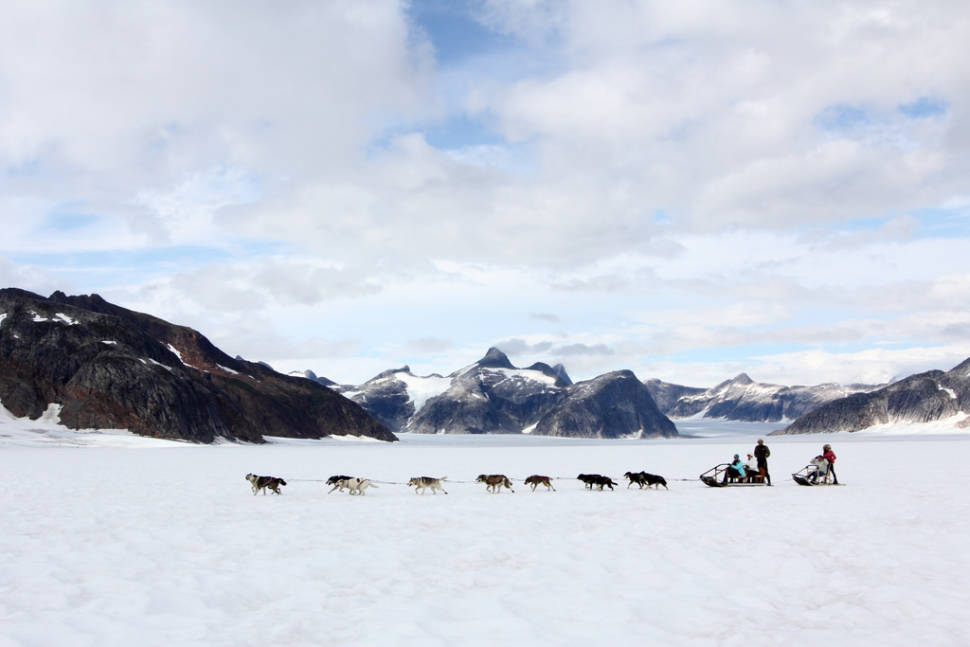 Dog sledding on a glacier outside of Juneau, AK