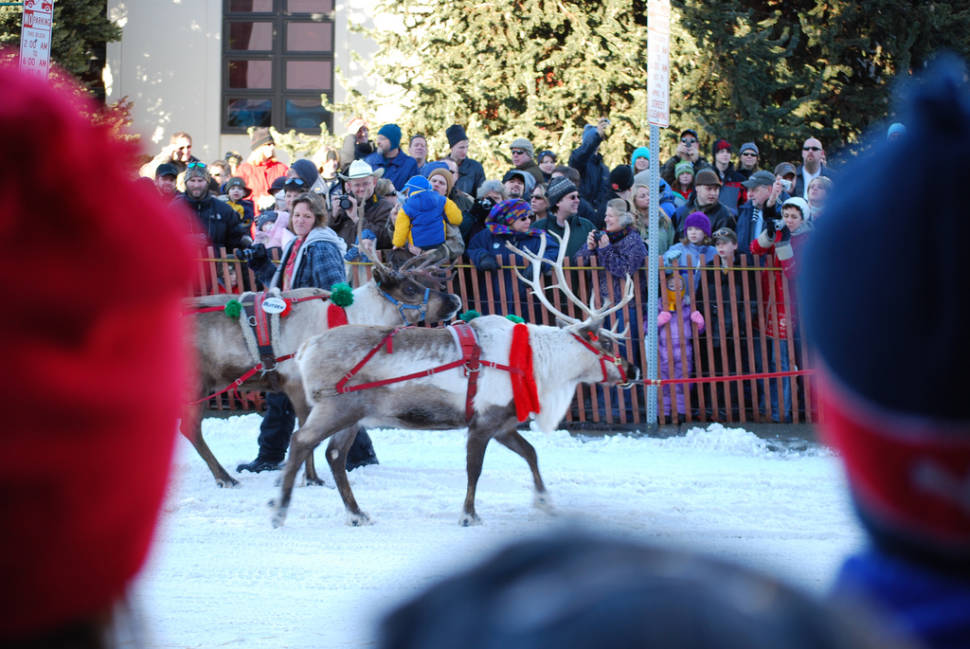 Fur Rondy in Alaska - Best Season
