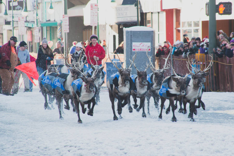 Fur Rondy in Alaska - Best Time