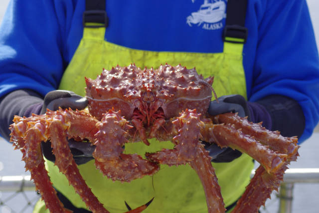 King Crab in Alaska - Best Time