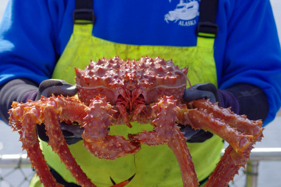 King Crab in Alaska - Best Time