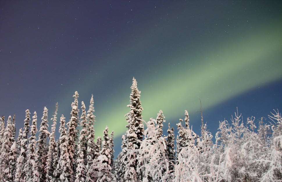 Aurora Hunting in Fairbanks, Alaska