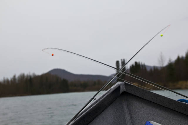 Rainbow Trout Fishing in Alaska - Best Season