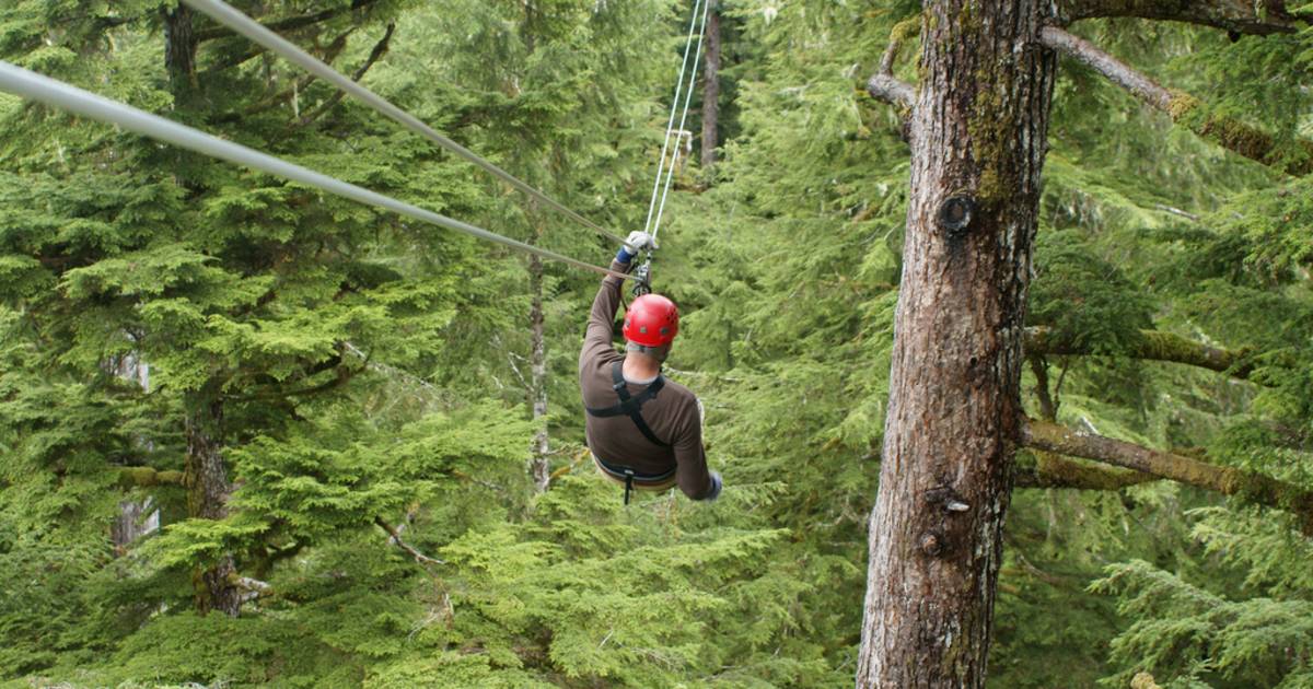 Rainforest Ziplining in Alaska - Best Time