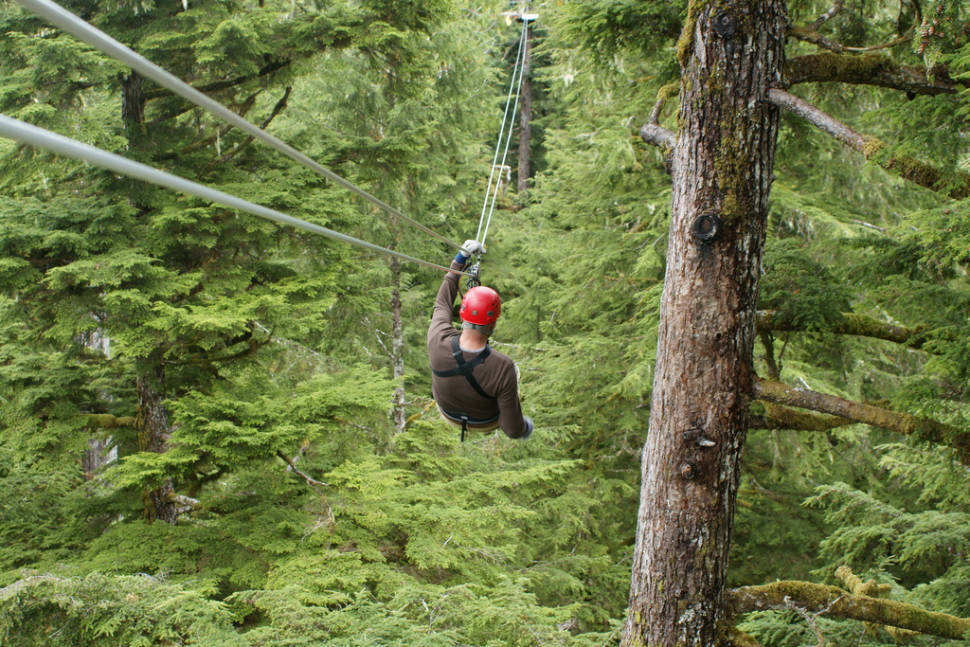 Rainforest Ziplining in Alaska - Best Time