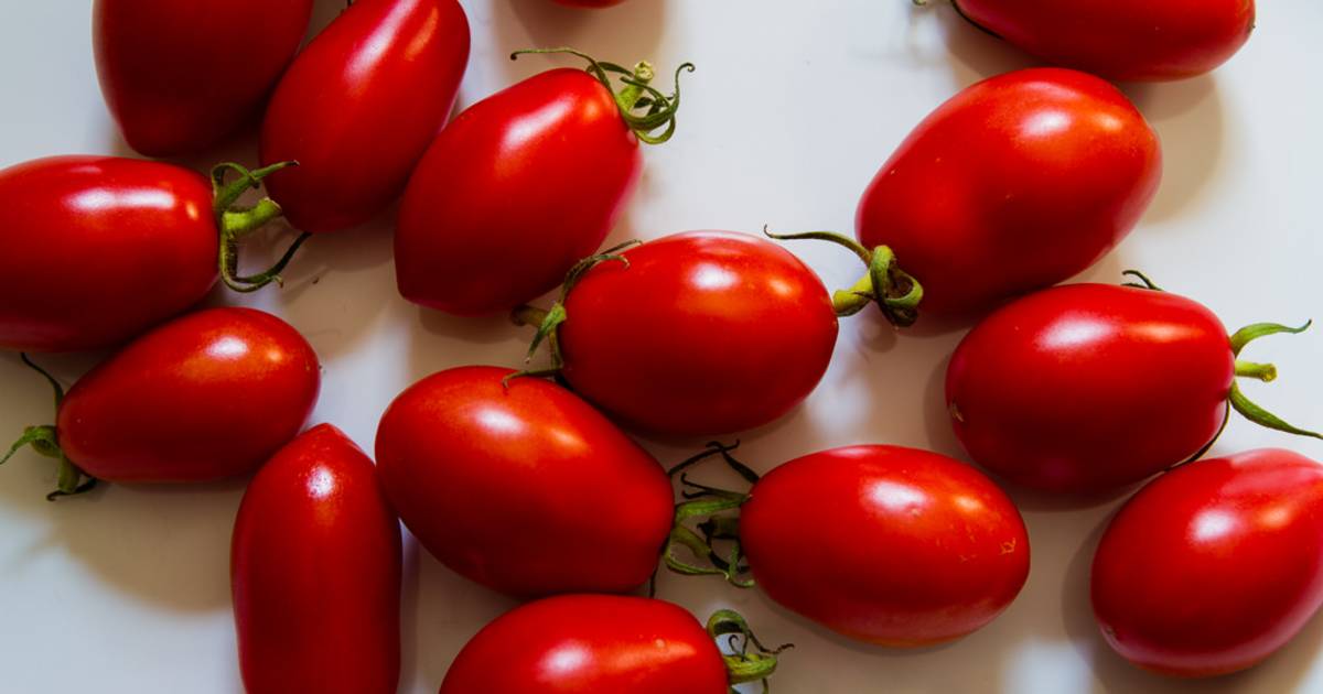 San Marzano Tomatoes in Amalfi Coast - Best Time