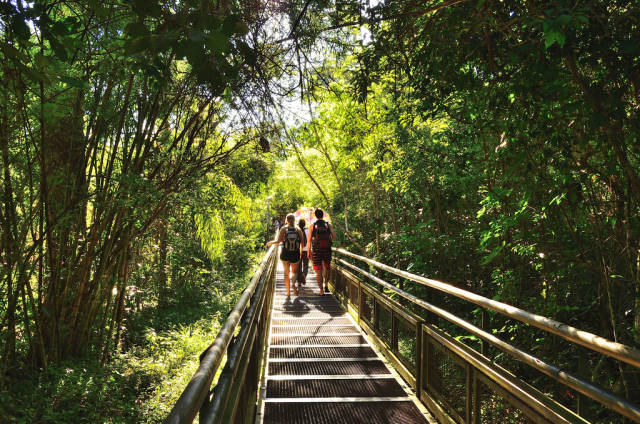 Misiones Jungle in Argentina - Best Season