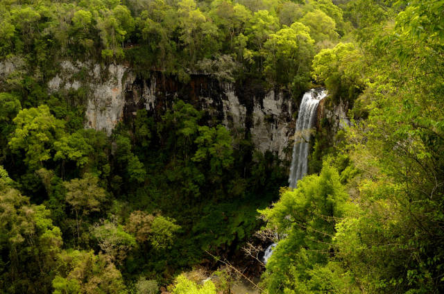 Misiones Jungle in Argentina - Best Time