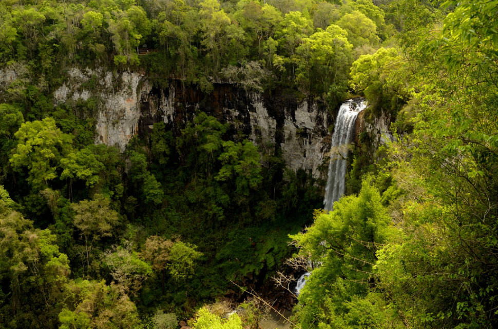 Misiones Jungle in Argentina - Best Time