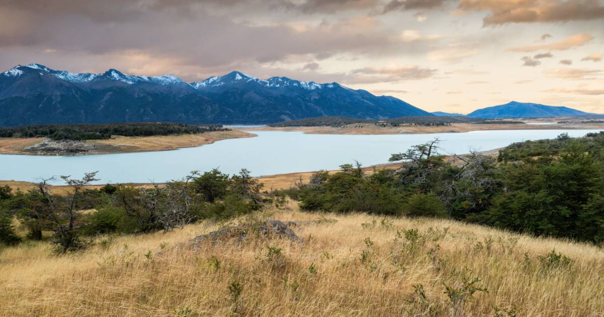 Pampas in Argentina - Best Time