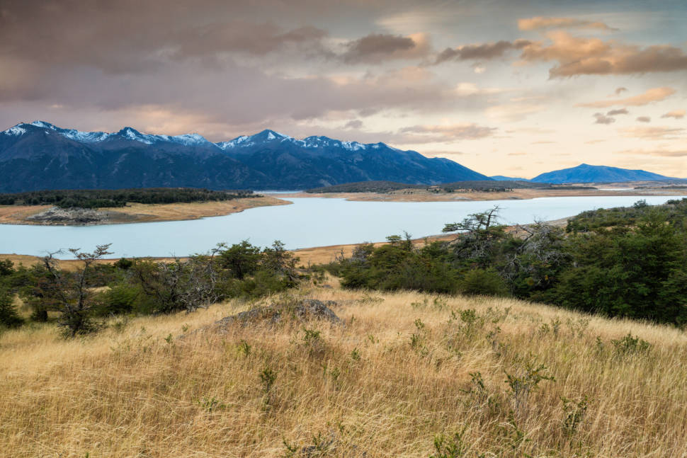 Pampas in Argentina - Best Time