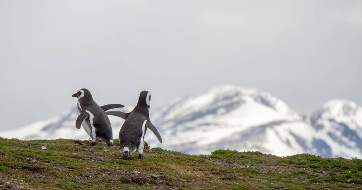Tierra del Fuego in Argentina - Best Time