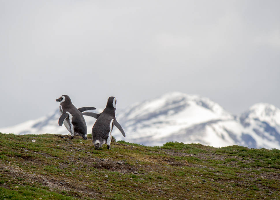 Tierra del Fuego in Argentina - Best Time