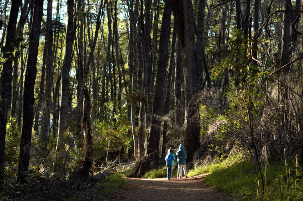 Trekking in Bariloche in Argentina - Best Season