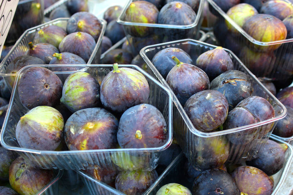 Figs in Athens - Best Time