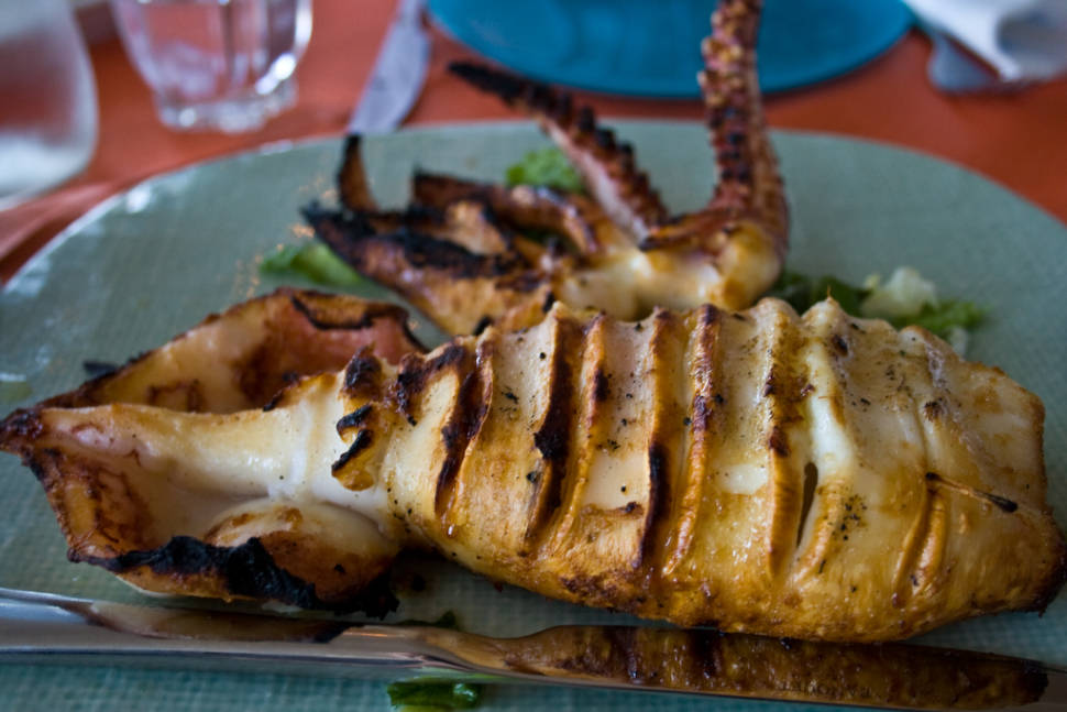 Squid in Athens - Best Season