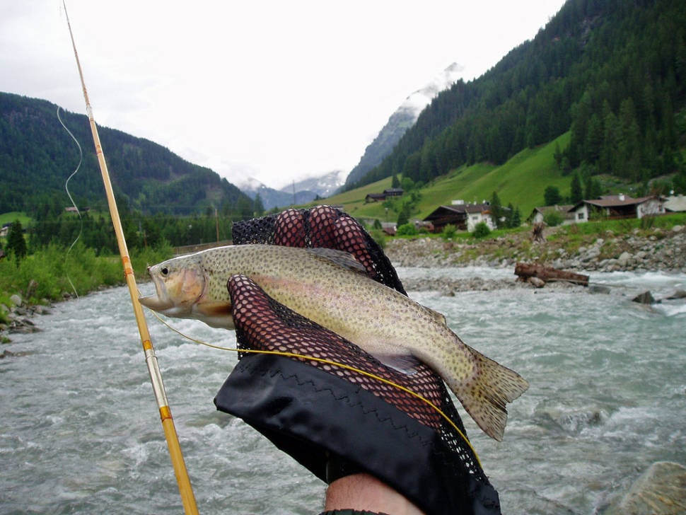 Fishing in Austria - Best Season