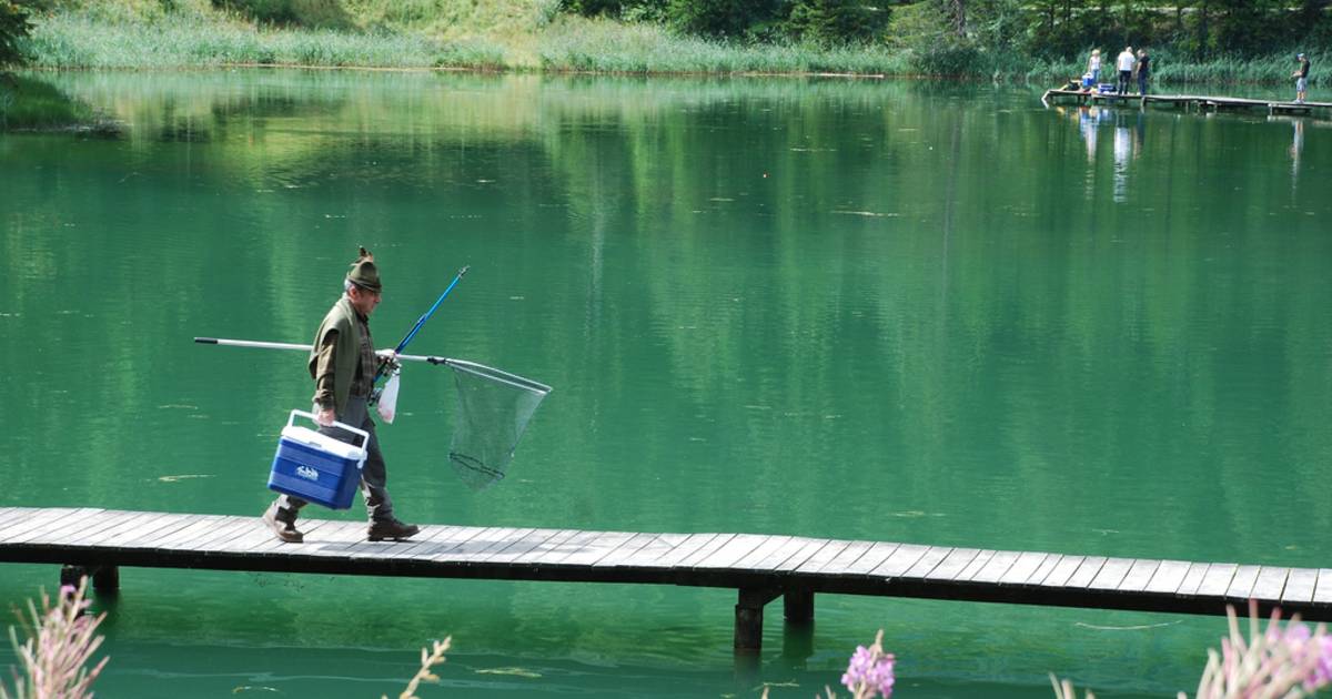 Fishing in Austria - Best Time