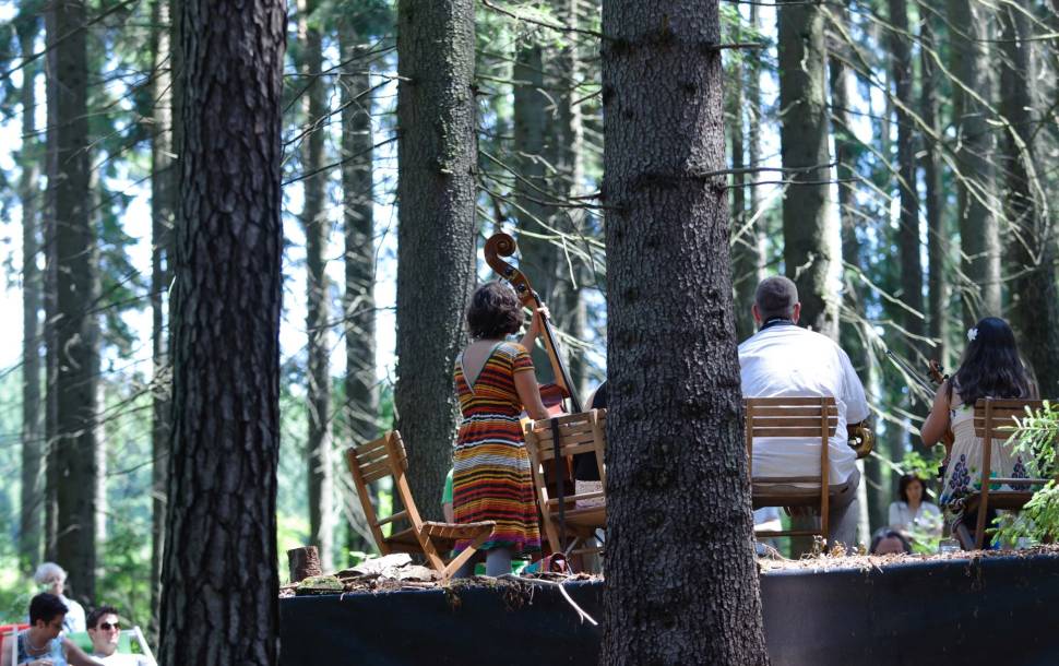 Schrammel.Klang.Festival in Austria - Best Season