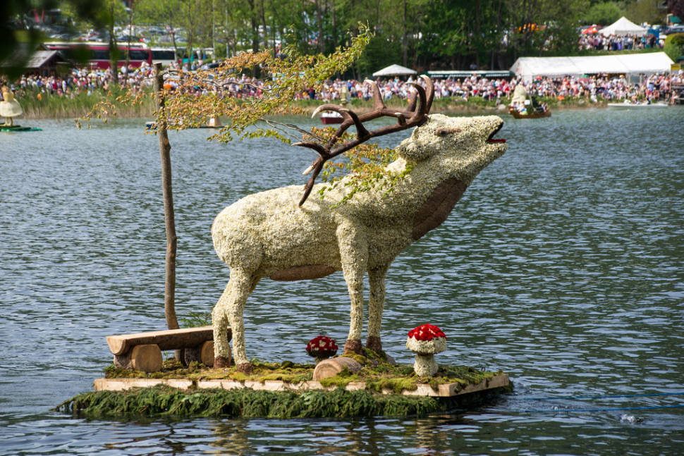 The Narzissenfest in Austria - Best Season