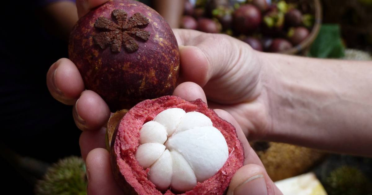Mangosteen in Bali - Best Time