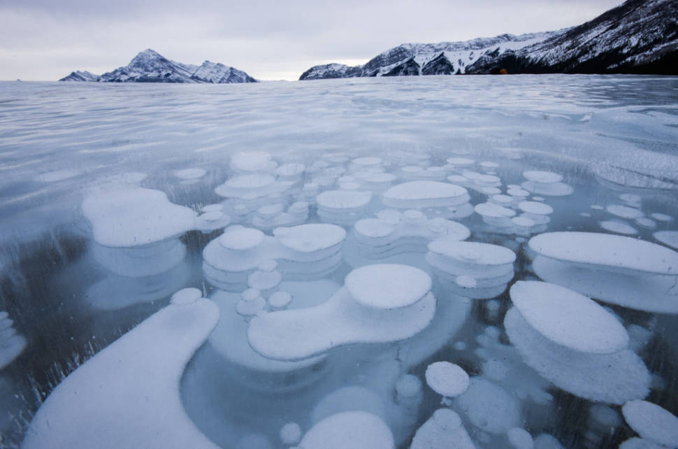 Frozen Abraham Lake in Banff & Jasper National Parks - Best Season