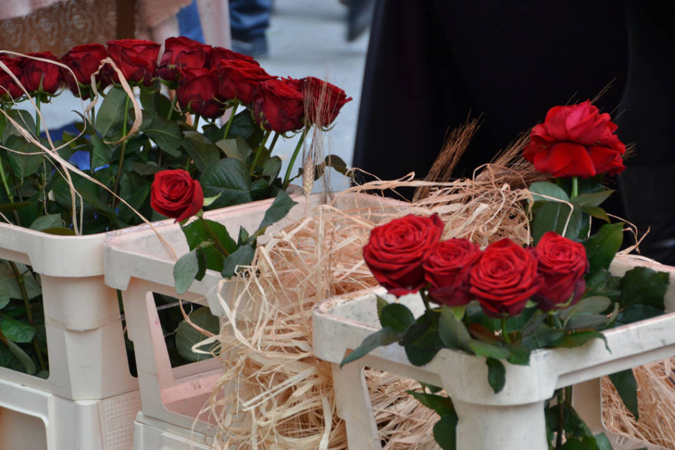 Dia de Sant Jordi in Barcelona - Best Season