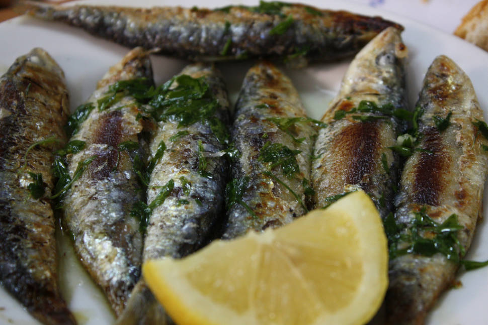 Sardinadas in Barcelona - Best Season