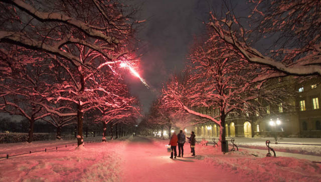 Christmas & New Year's Eve Shooting in Bavaria - Best Season
