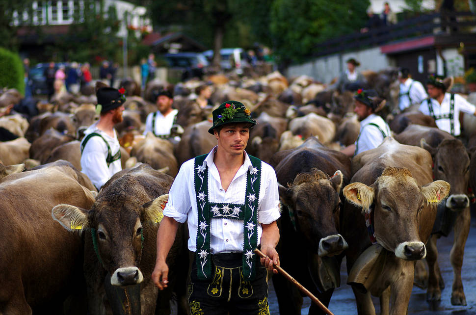 Viehscheid in Bavaria - Best Season