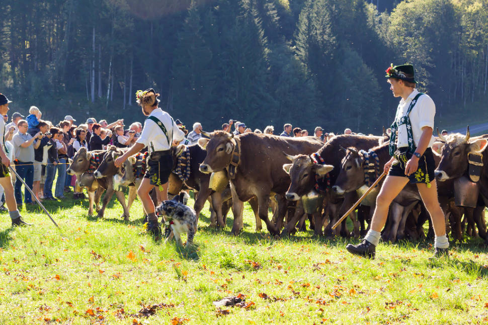 Best time for Viehscheid in Bavaria