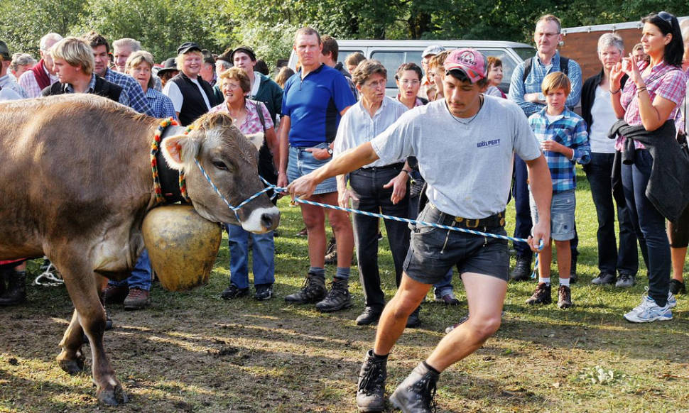 Best time for Viehscheid