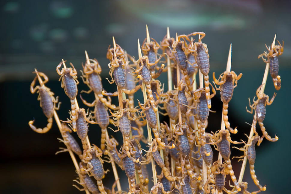 Fried Scorpions in Beijing - Best Time