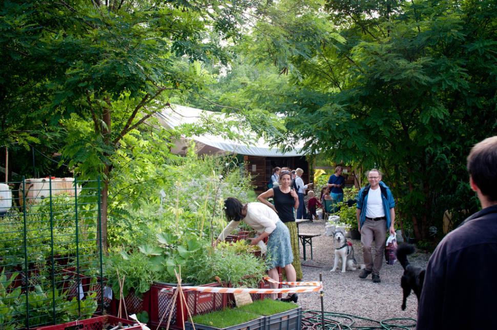 Urban Gardening at Prinzessinnengärten in Berlin - Best Season