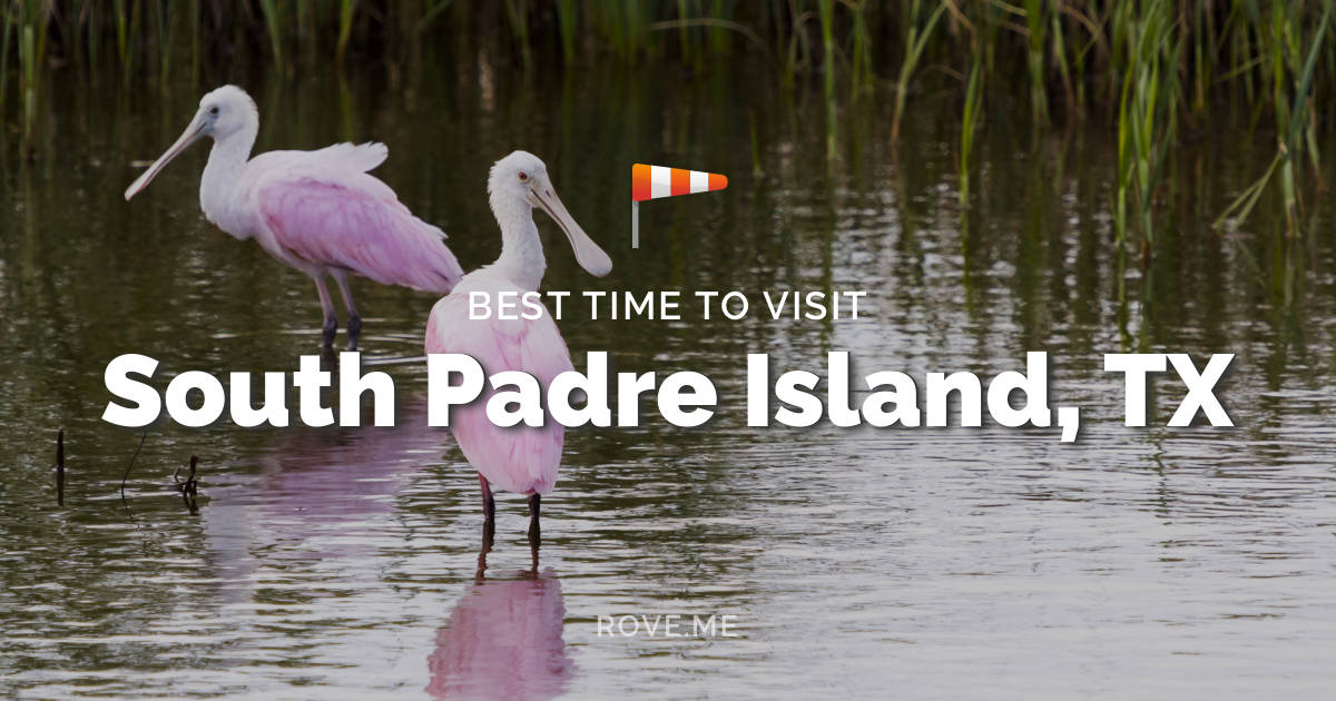 Mejor época para visitar South Padre Island, TX 2023: clima y 14 Cosas para  hacer