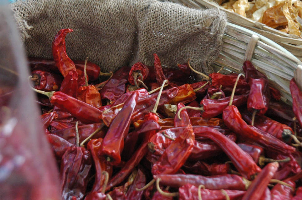Red Chilli Peppers Season in Bhutan - Best Season