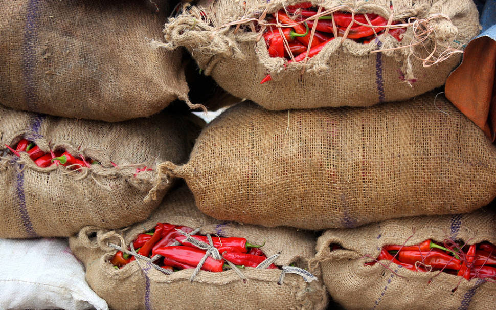 Red Chilli Peppers Season in Bhutan - Best Time