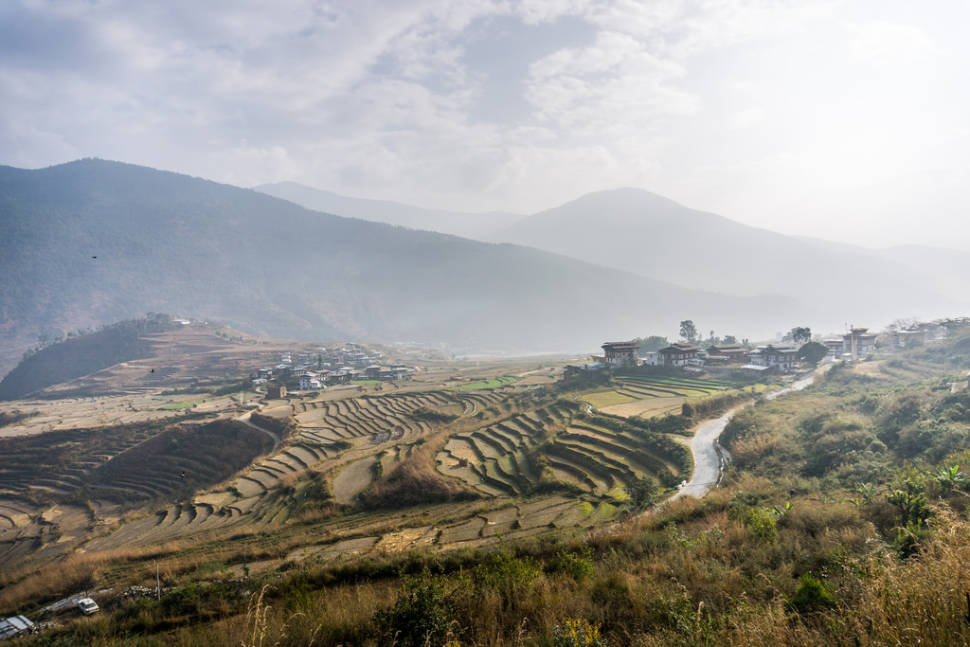 Rice Harvest in Bhutan - Best Time