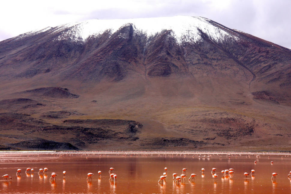 Red Lagoon, Bolivia