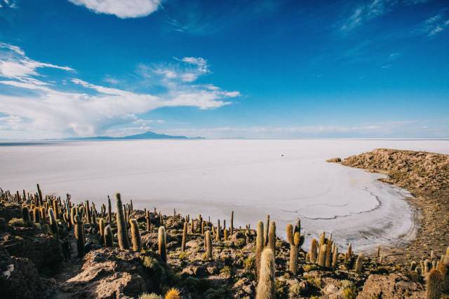 Best time for Walk the Salar de Uyuni Salt Flats in Bolivia