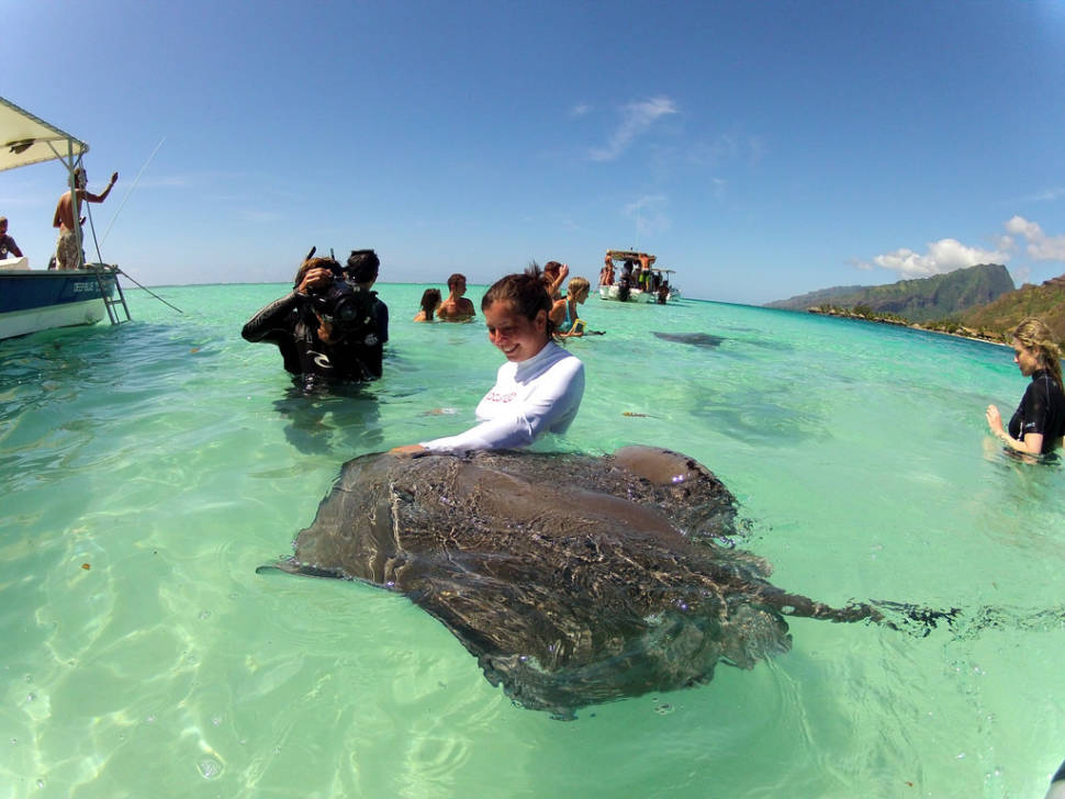Diving & Swimming with Manta Rays in Bora Bora - Best Time