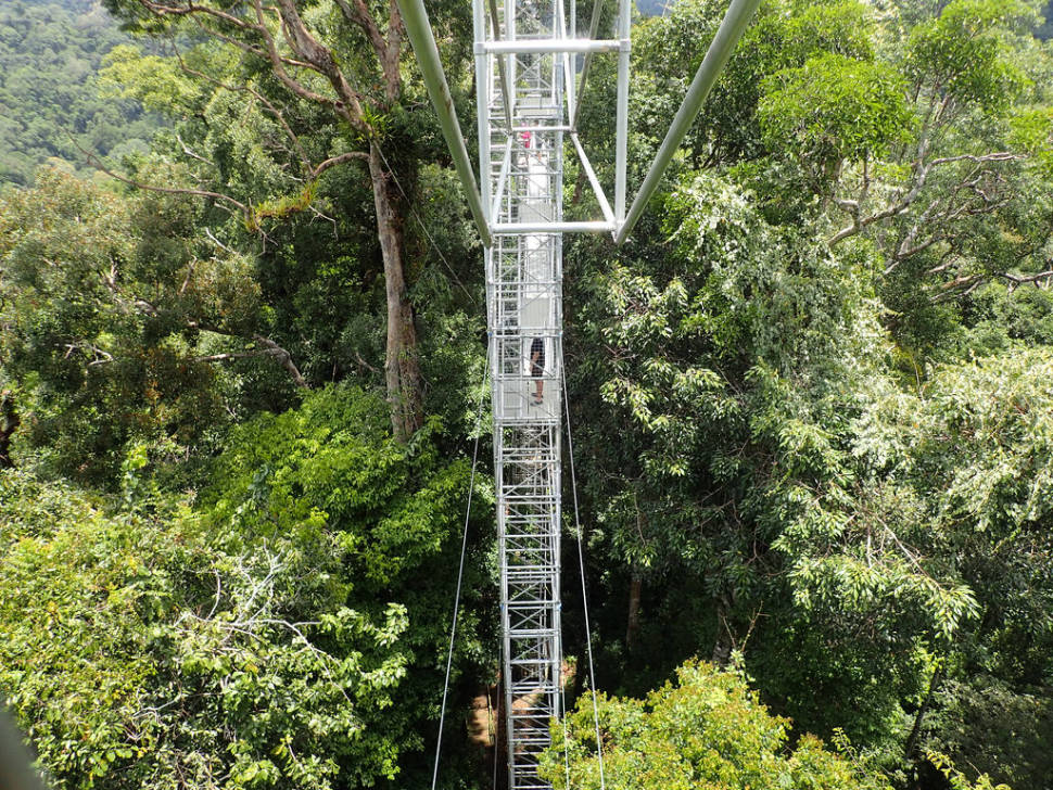 Ulu Temburong National Park