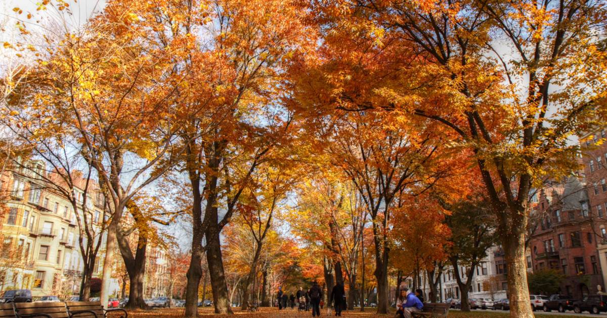 Autumn in Boston - Best Time