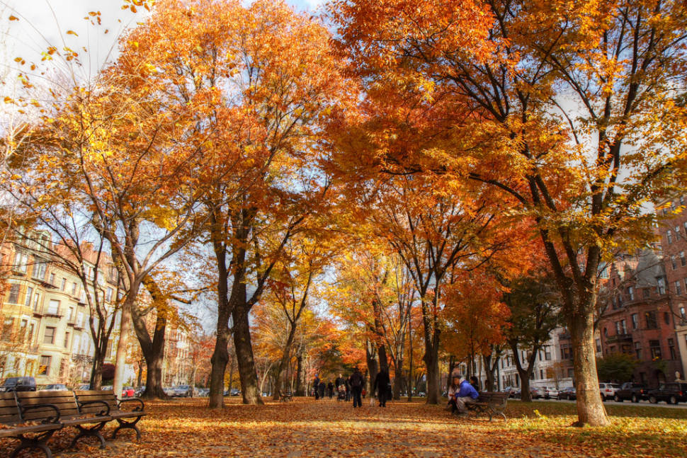 Autumn in Boston - Best Time