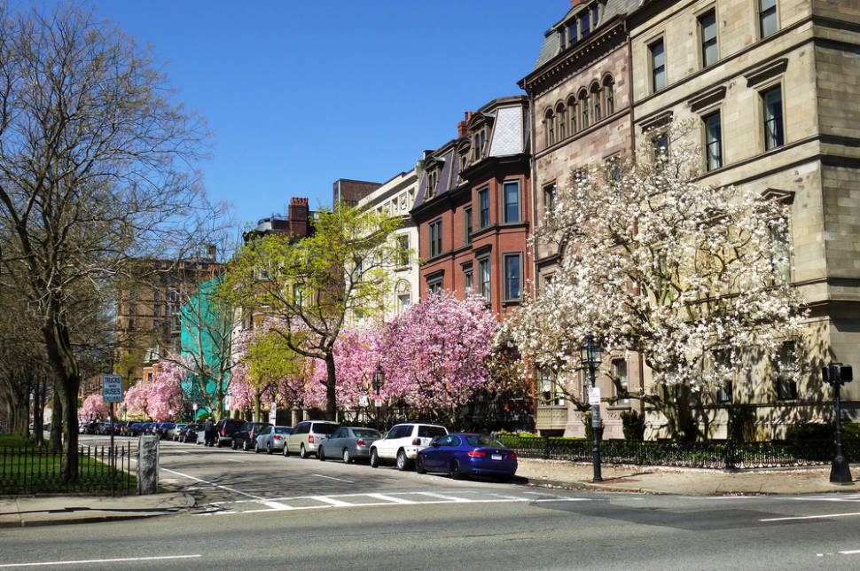 Best time for Spring Blooms in Boston