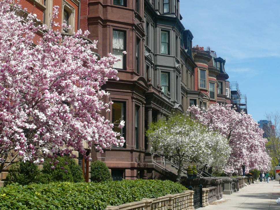 Spring in Boston - Best Time