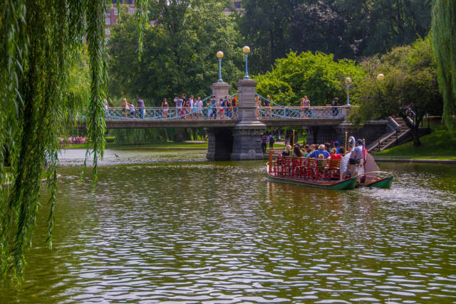 Swan Boats in Boston - Best Season