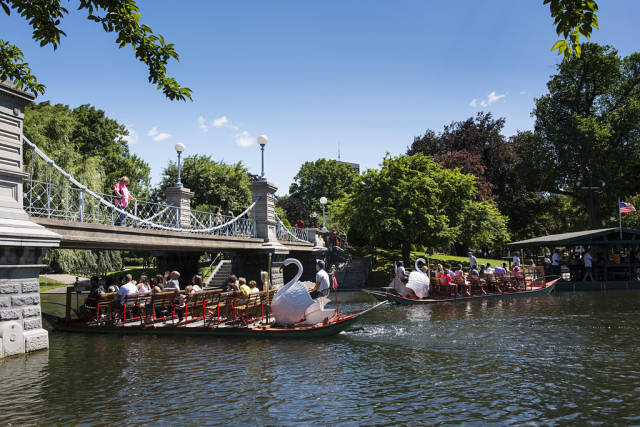 Swan Boats in Boston - Best Time