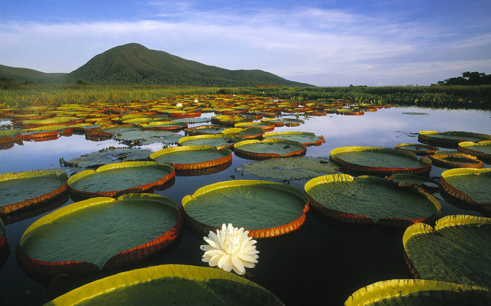 Pantanal in Brazil - Best Time