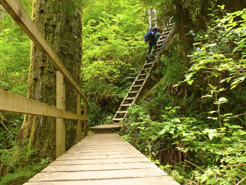 Best time for West Coast Trail in British Columbia